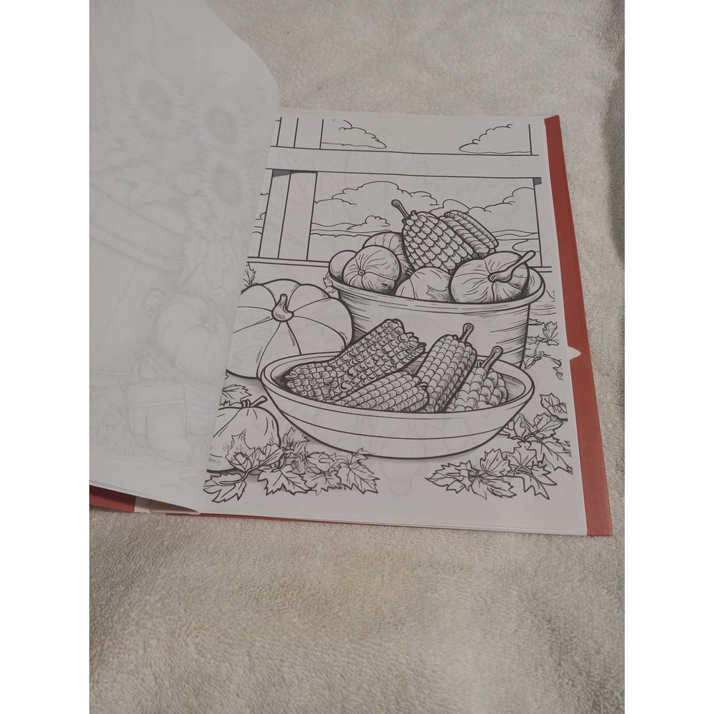 Fall/Thanksgiving Coloring Books - Picture 12 of 14